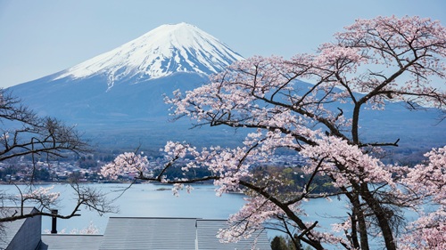 Extend Your Trip: Tour around Asia with LED CHINA 2025