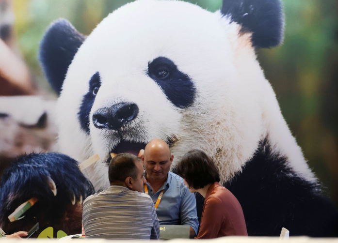 26th edition of Sign China expo opens in Shanghai