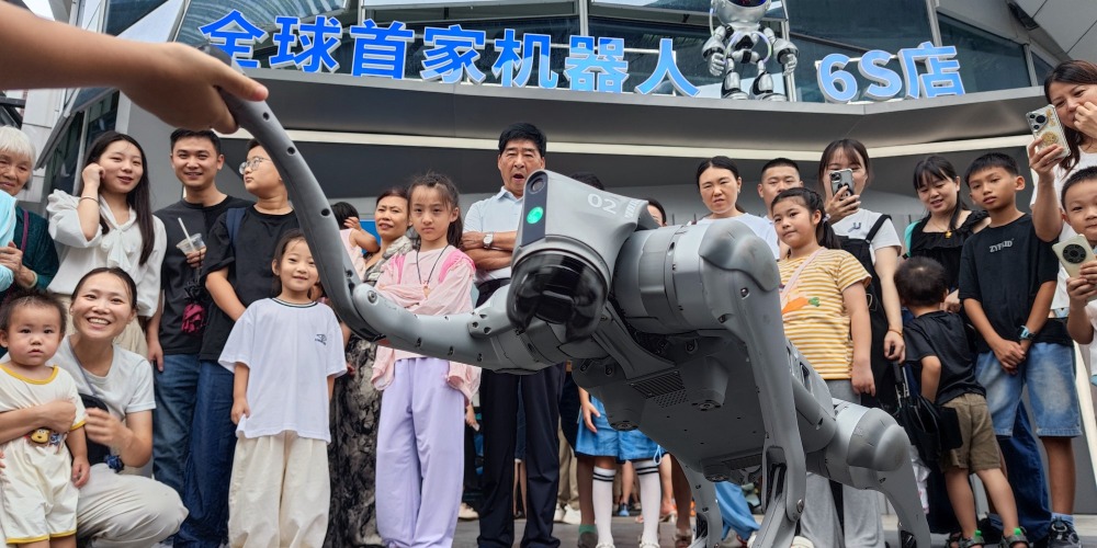 Only 25 mins to LED CHINA Shenzhen, the world's first robot 6s store