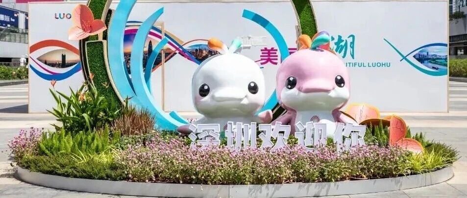 是“大灣雞”魔法，還是“數字及廣告標識”行業新秘籍？